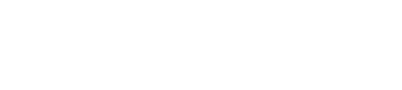 AnyConv.com__Logo Orbinox