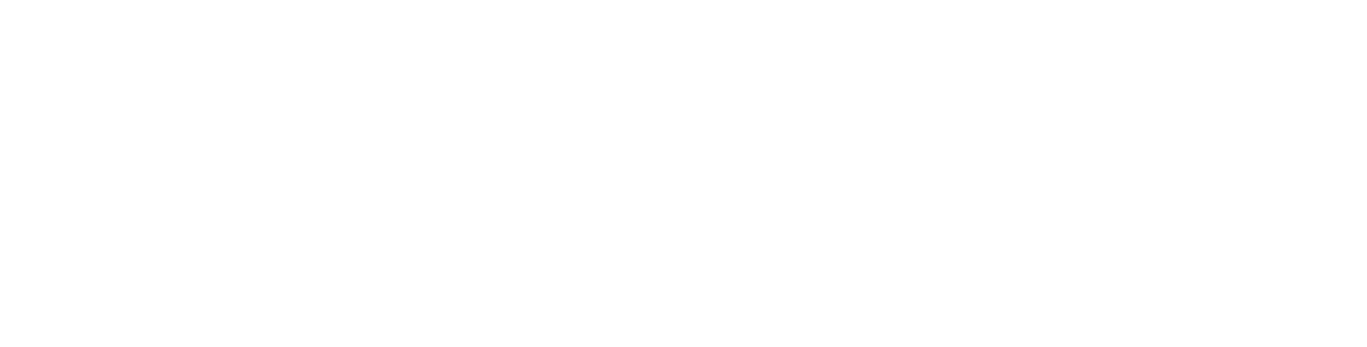 logo-white